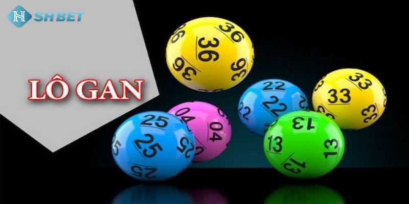 Banner www.thegioiblu-ray.com