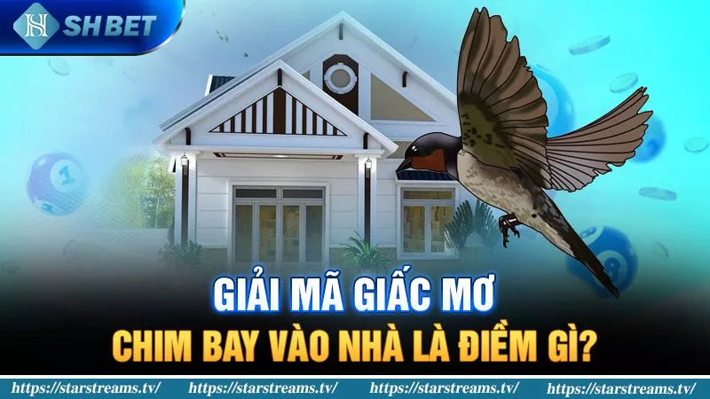 Banner www.thegioiblu-ray.com