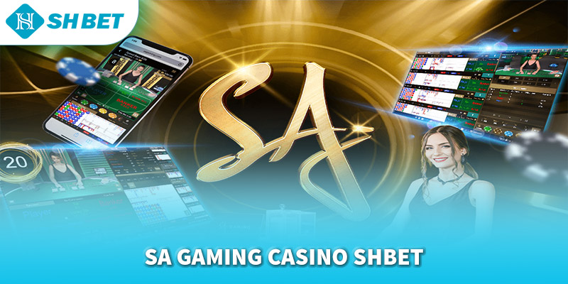 Banner www.thegioiblu-ray.com