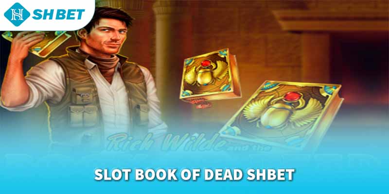 Banner www.thegioiblu-ray.com