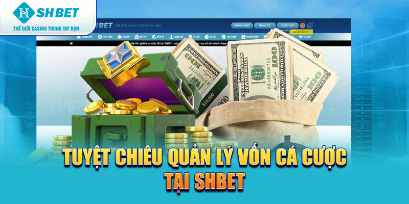 Banner www.thegioiblu-ray.com